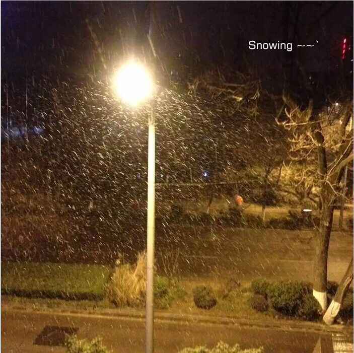 Cambodia Solar Street Light Project(50W) from love and solar