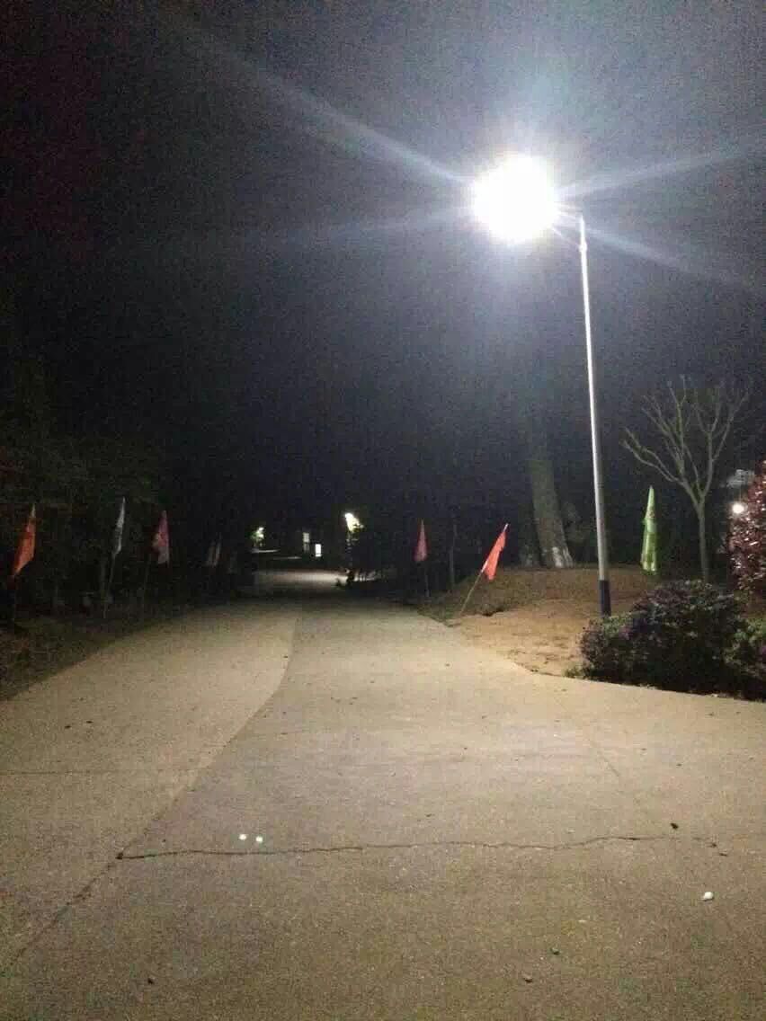 Vietnam Solar Street Light Project from love and solar