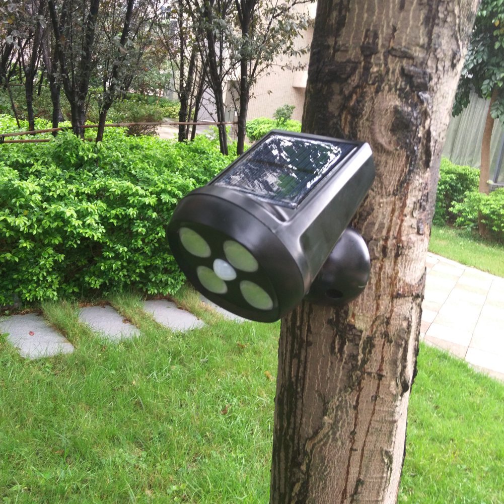 Solar Spot light-love and solar