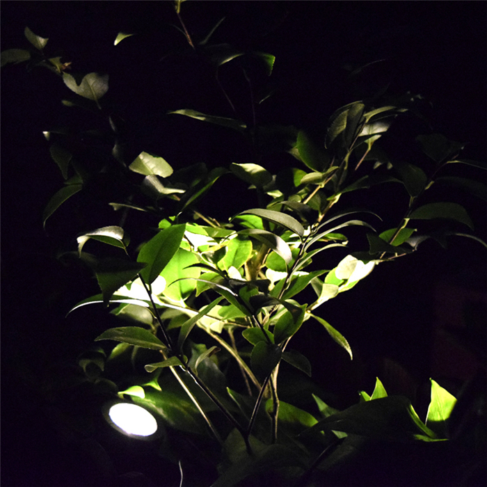 2 Head Underwater Solar Spotlight Plant Light